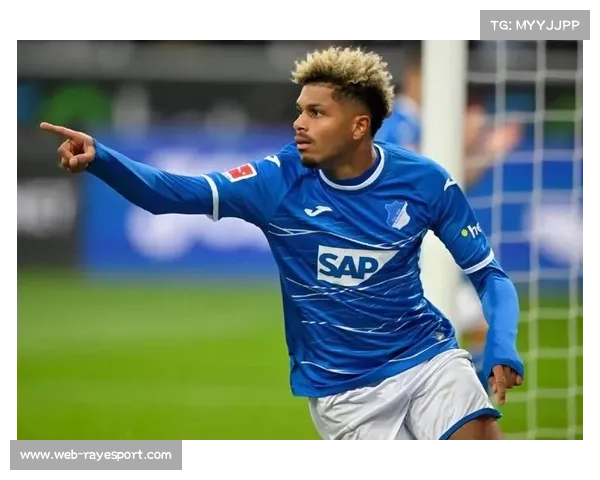 霍芬海姆主场激进风格，或促成高比分进球大战